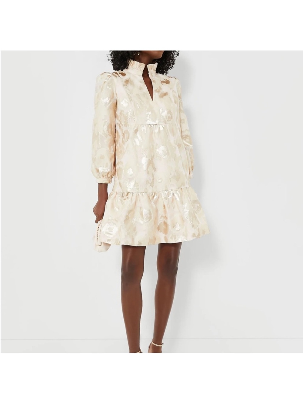 Tuckernuck Champagne Fil Coupe Palmerston Dress Size Large